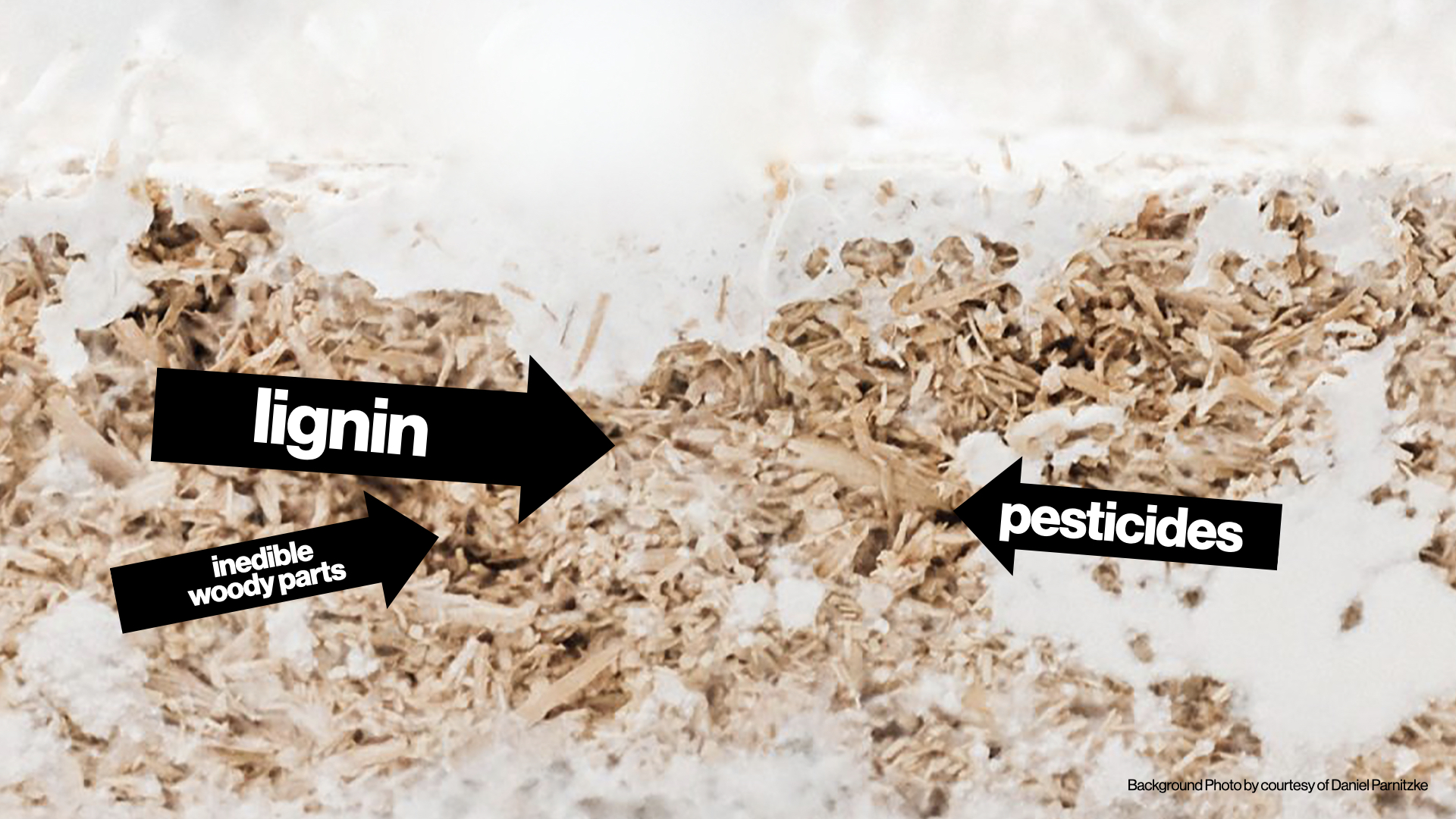 Lignin, inedible woody parts and pesticides are still present