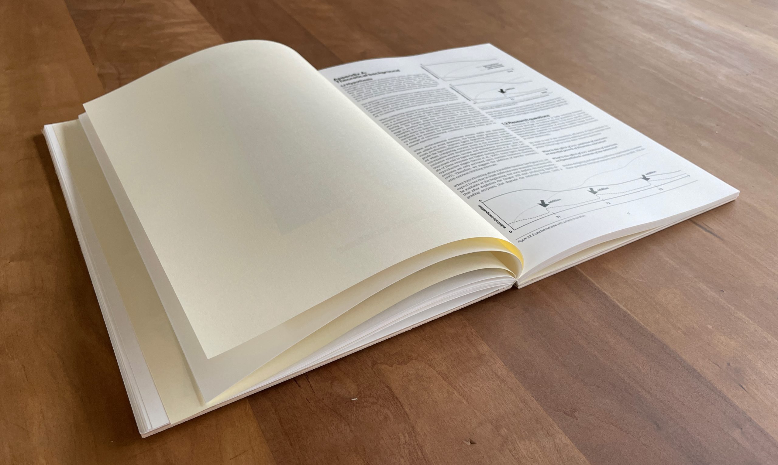 Wood for Food thesis research book photo open Merel Witteman