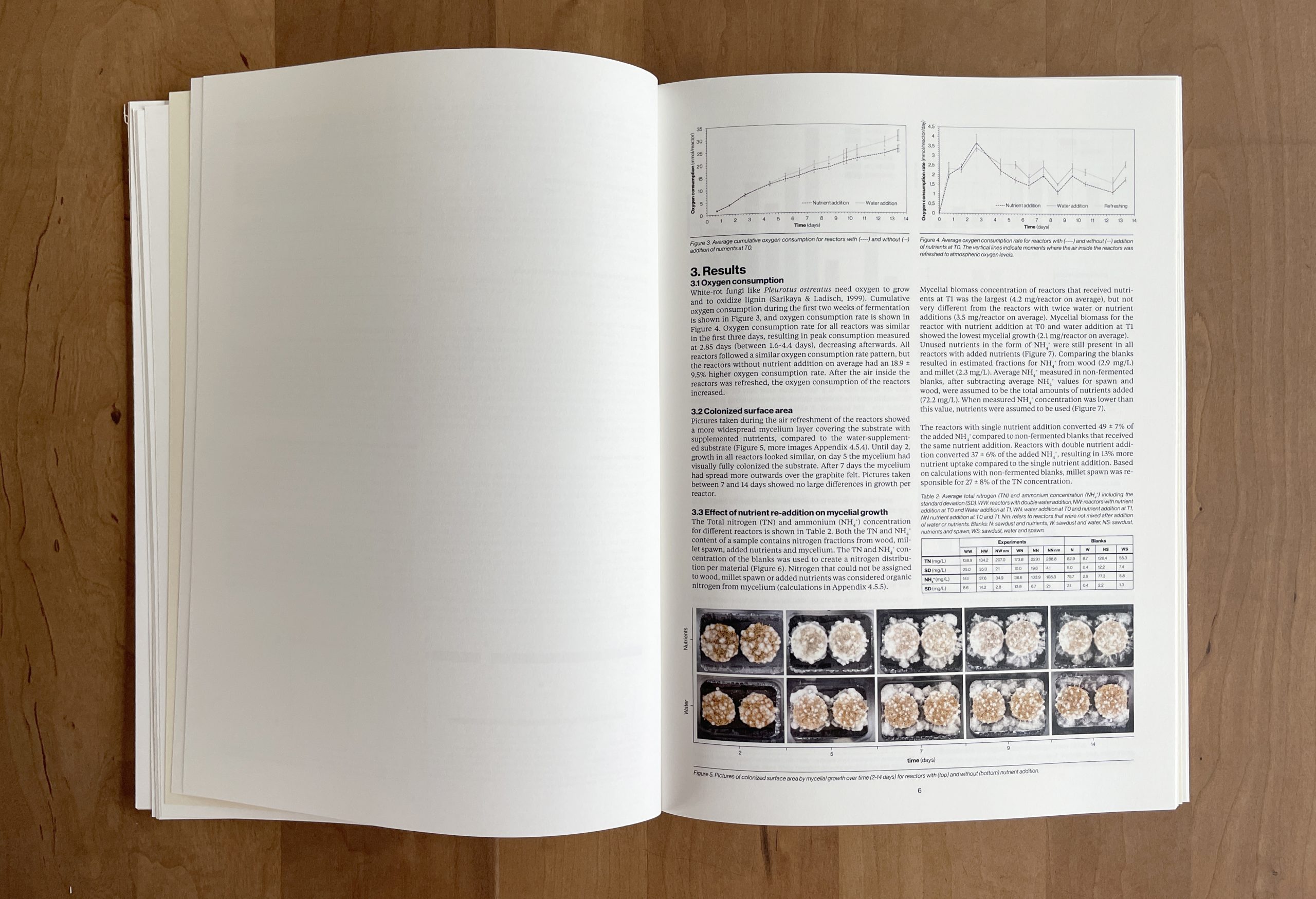 Wood for Food thesis research page Merel Witteman