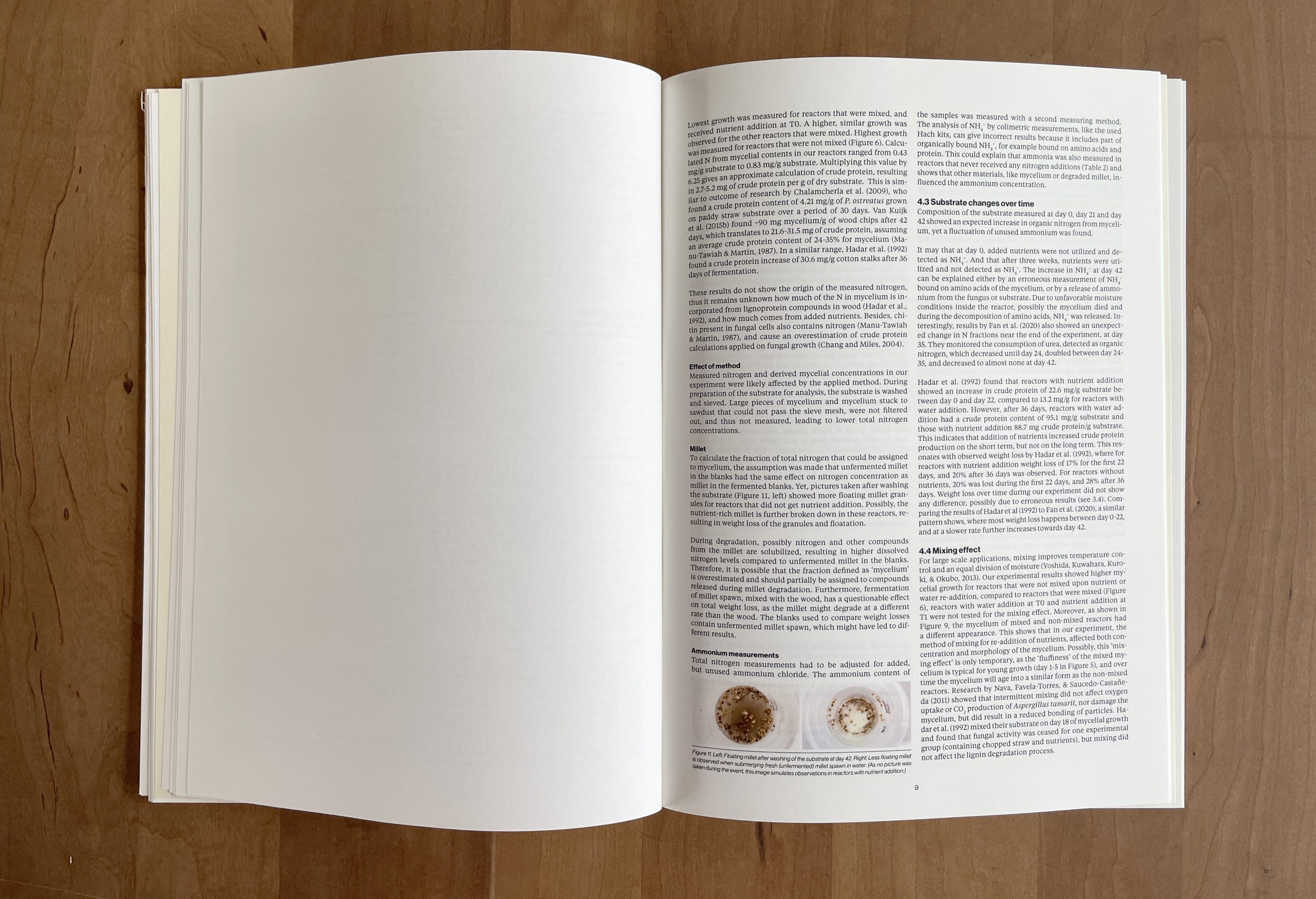 Wood for Food thesis research page Merel Witteman